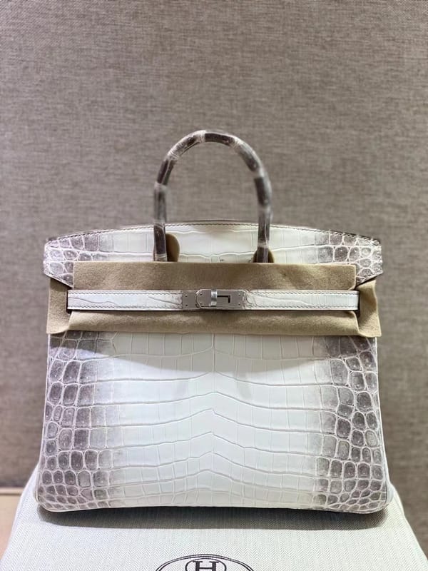 Hermès Himalaya Birkin 25 – Niloticus Matte Crocodile, Diamond Encrusted Palladium Hardware